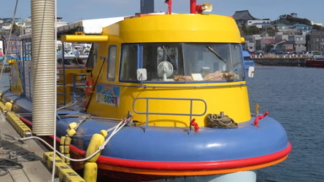 水中観光船 にじいろさかな号 ワンコ 犬 も乗船できる水中観測船 かなめぐ 神奈川県味めぐり