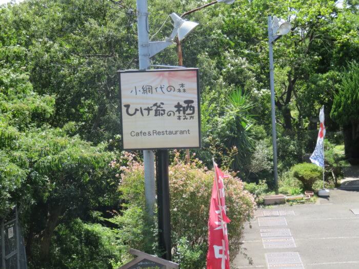 小網代 こあじろ の森へハイキングへ行こう かなめぐ 神奈川県味めぐり