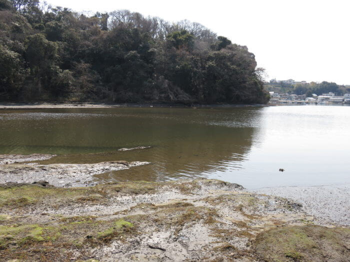 小網代 こあじろ の森へハイキングへ行こう かなめぐ 神奈川県旅めぐり