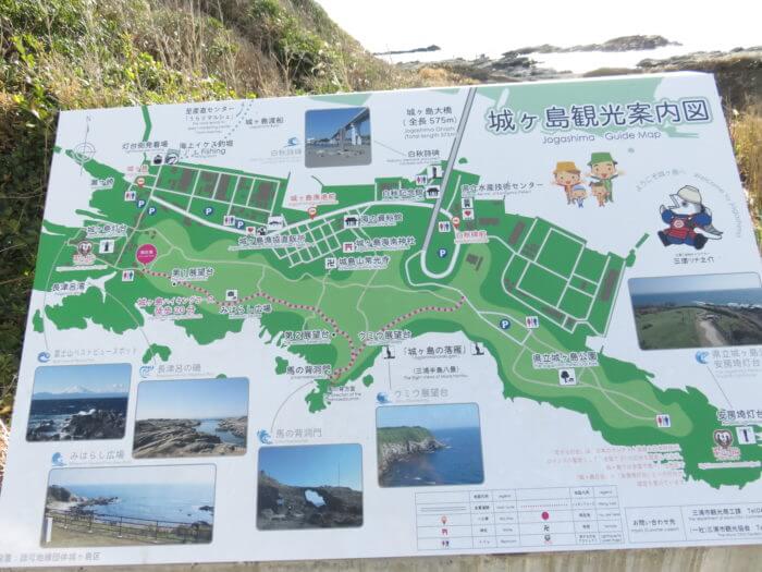 城ヶ島公園 毎年1月中旬 2月中旬は八重咲水仙の甘い香りに包まれる かなめぐ 神奈川県味めぐり